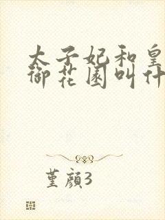 太子妃和皇帝在御花园叫什么小说