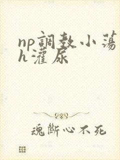 np调教小荡货h灌尿