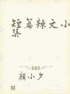 短篇辣文小说合集