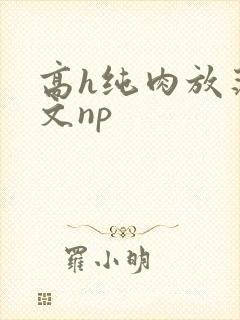 高h纯肉放荡h文np