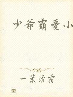 少爷霸爱小丫头