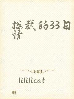 总裁的33日索情