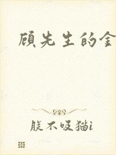 顾先生的金丝雀