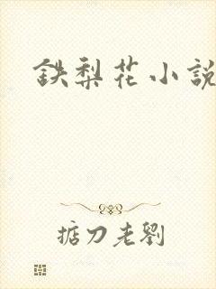 铁梨花小说