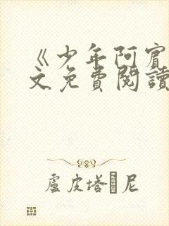 《少年阿宾》全文免费阅读