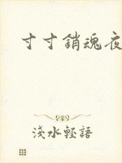 寸寸销魂夜春光