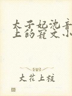 太子妃沈音和皇上的宠文小说