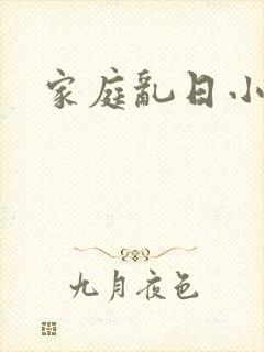 家庭乱日小说