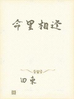命里相逢