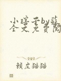 小瞎子by苏软全文免费阅读