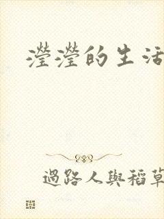 滢滢的生活日记