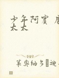 少年阿宾 房东太太