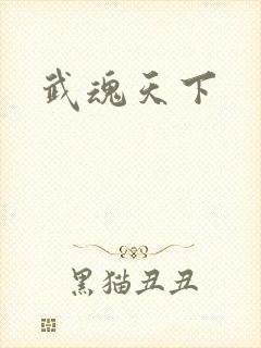 武魂天下