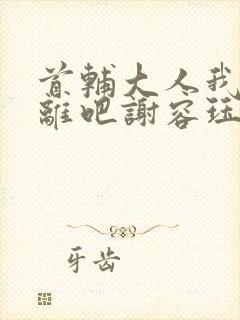 首辅大人我们和离吧谢容珏