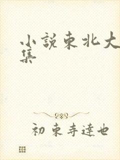 小说东北大炕全集