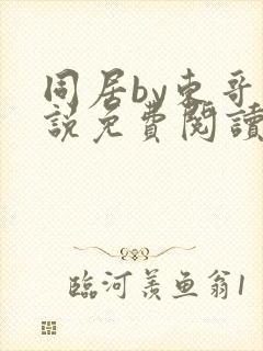 同居by东哥小说免费阅读全文无弹窗