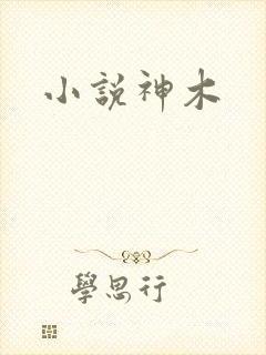小说神木