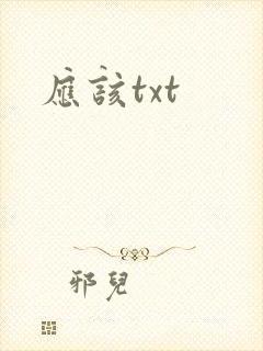 应该txt