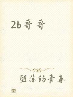 2b哥哥