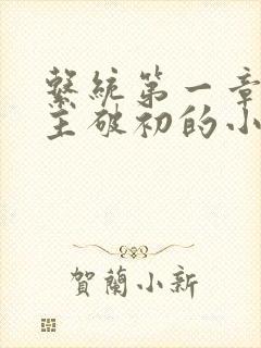 系统第一章给宿主破初的小说