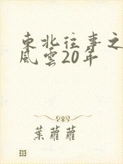 东北往事之黑道风云20年