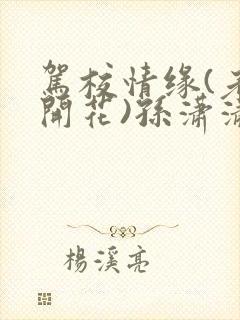 驾校情缘(老树开花)孙潇潇第一次趣笔阁