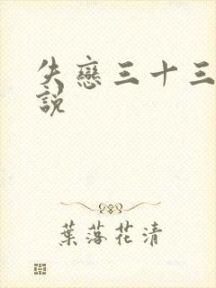 失恋三十三天小说