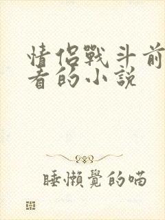 情侣战斗前适合看的小说