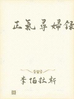 正气寻妇录