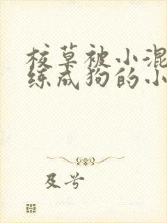 校草被小混混训练成狗的小说