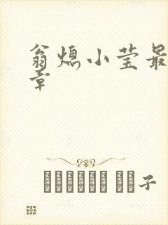 翁熄小莹最新节章