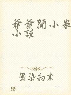 爷爷开小米的包小说