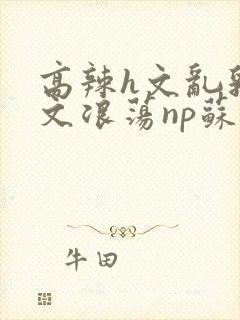 高辣h文乱乳h文浪荡np苏夏