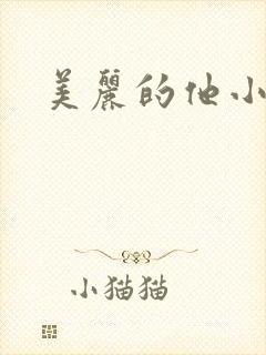 美丽的他小说