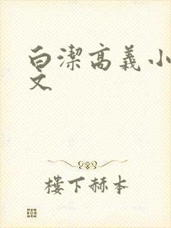 白洁高义小说全文