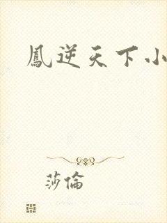 凤逆天下小说