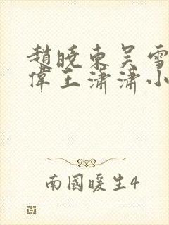 赵晓东吴雪晴郑伟王潇潇小说