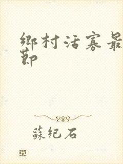 乡村活寡最新章节