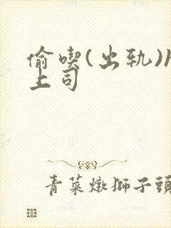 偷吃(出轨)h上司