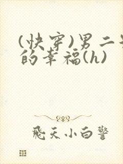 (快穿)男二号的幸福(h)