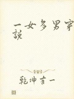 一女多男穿越小说
