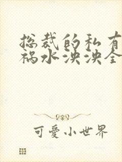 总裁的私有宝贝祸水泱泱全文阅读