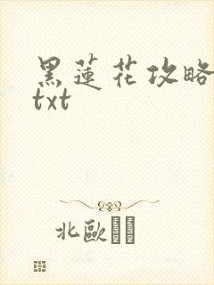 黑莲花攻略手册txt