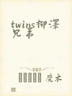 twins柳泽兄弟