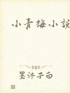 小青梅小说