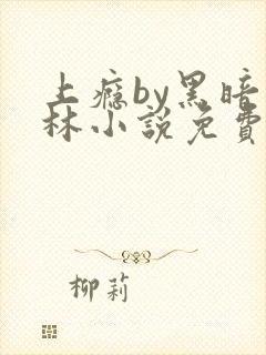 上瘾by黑暗森林小说免费