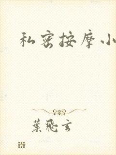 私密按摩小说