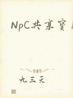 NpC共享宝贝