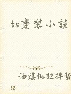 ts变装小说