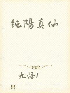纯阳真仙